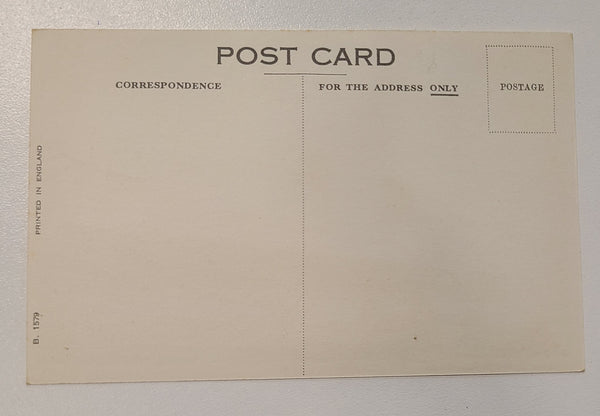 Cunard Line R.M.S. Mauretania Post Card