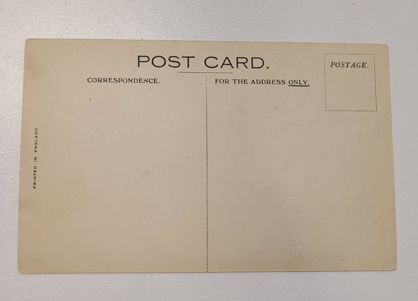Cunard White Star R.M.S. Andania Post Card