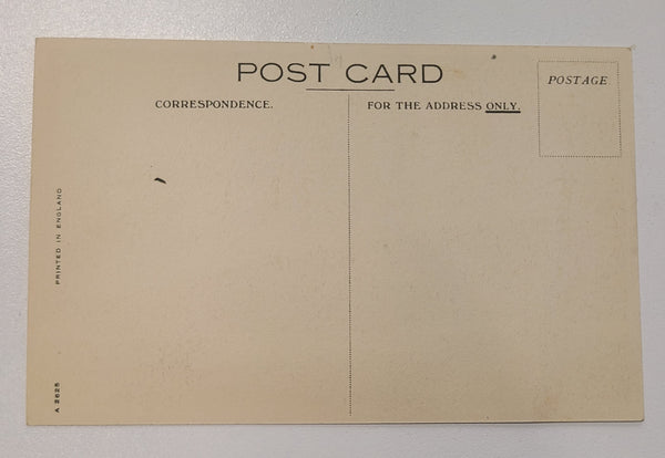 Cunard White Star R.M.S. Georgic Post Card