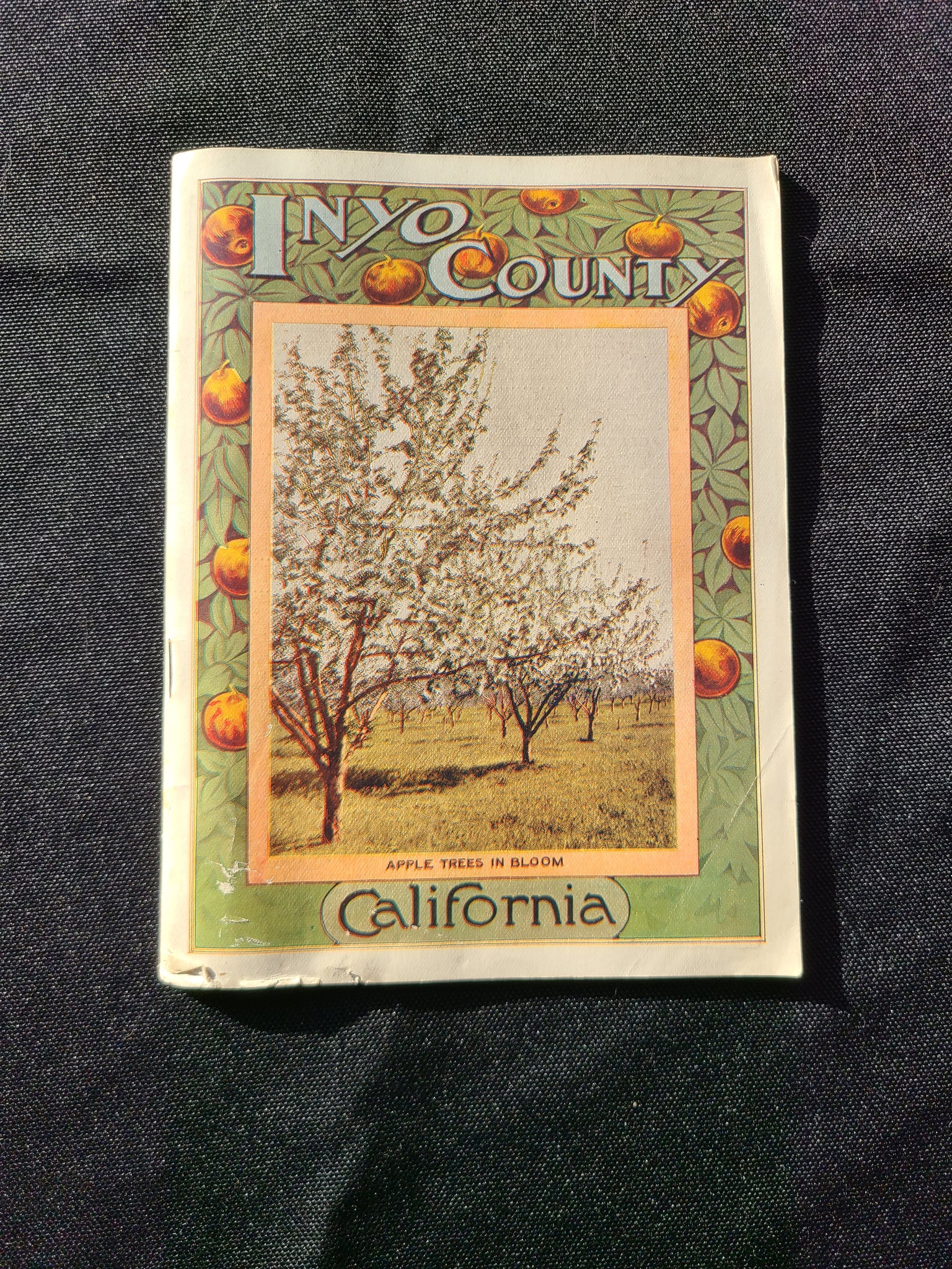 Inyo County California Guide Book (1910)