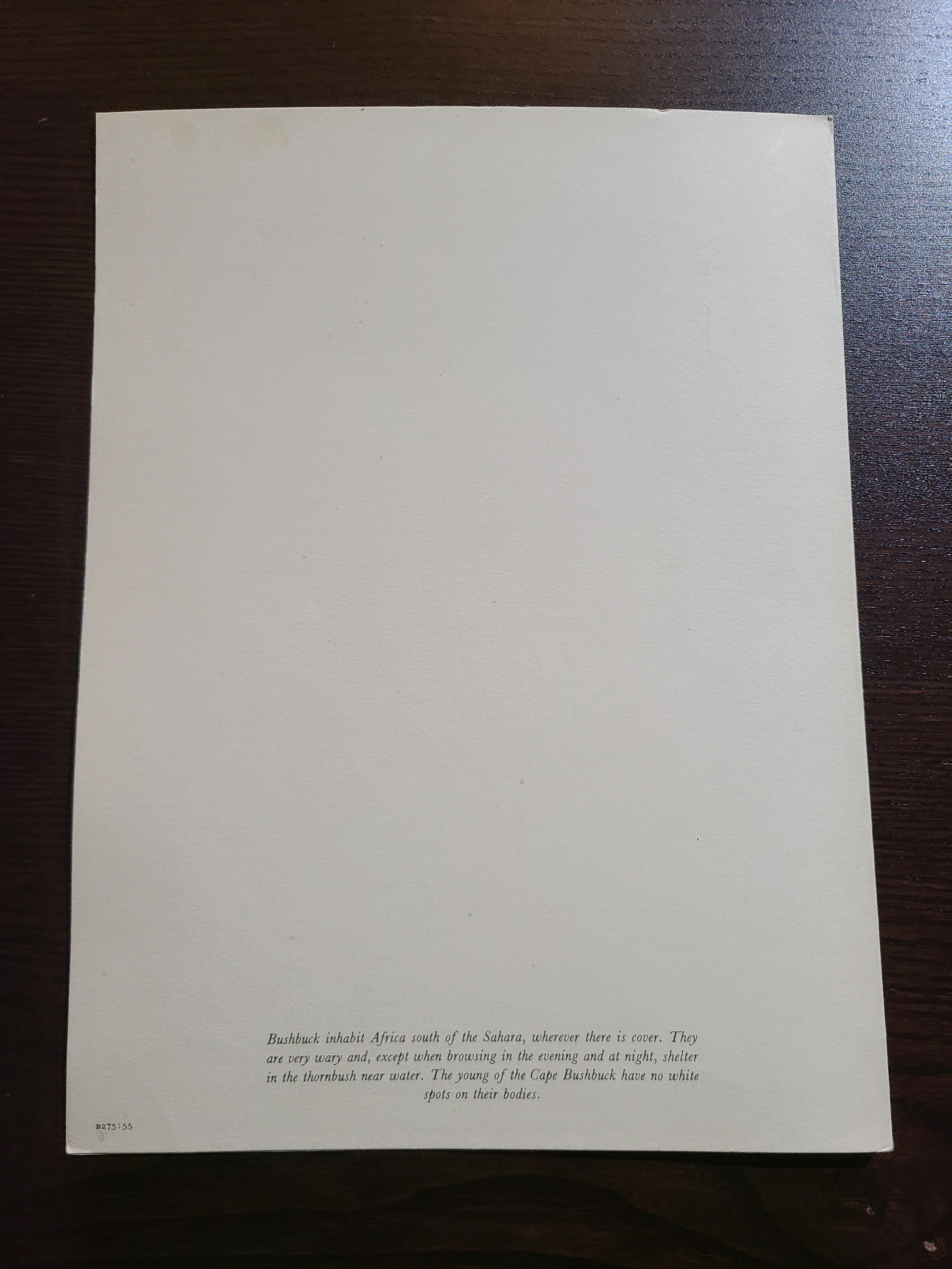 Union Castle Line R.M.S. Carnarvon Castle Dinner Menu