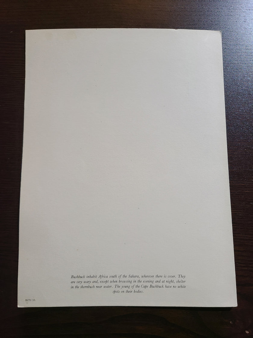 Union Castle Line R.M.S. Carnarvon Castle Dinner Menu
