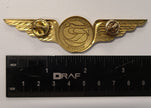 Rossiya Airlines Pilot Wings