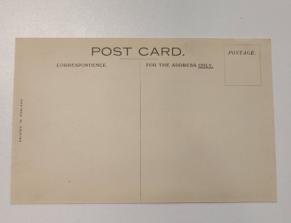 Cunard White Star R.M.S. Alaunia Post Card