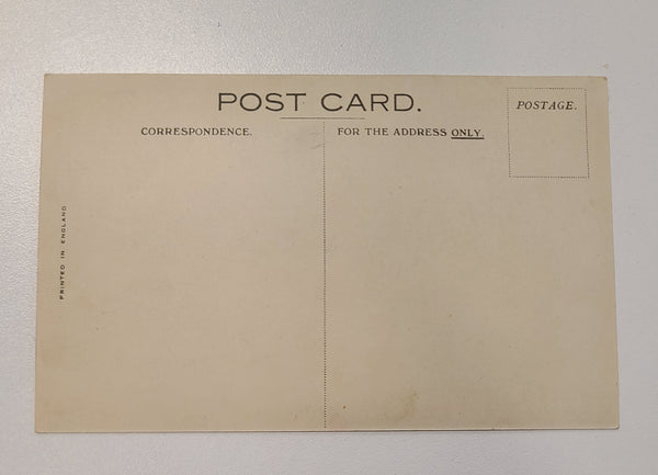 Cunard White Star R.M.S. Andania Post Card