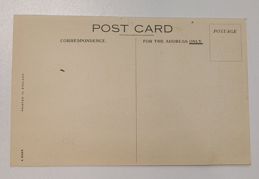 Cunard White Star R.M.S. Georgic Post Card