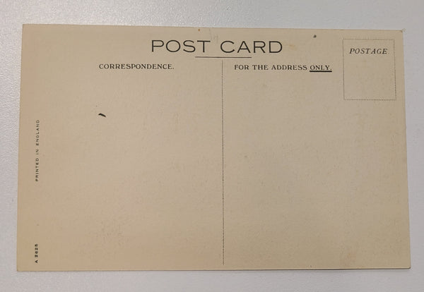 Cunard White Star R.M.S. Georgic Post Card