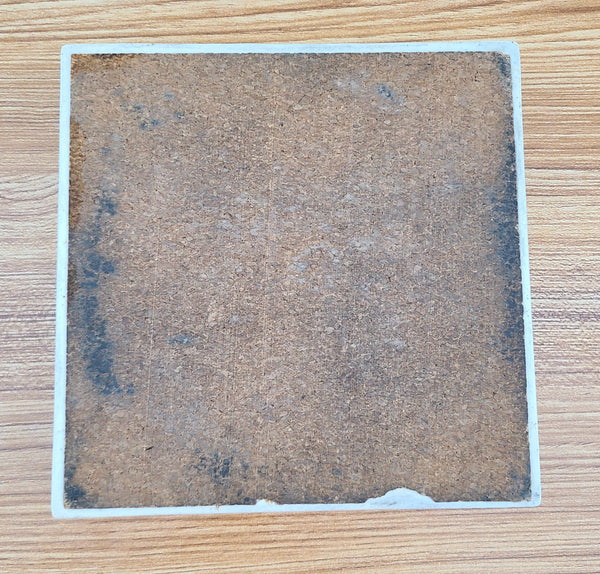 S.S. Pioneer Moon Ashtray