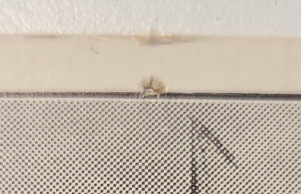 White Star Line R.M.S Titanic Post Sinking Postcard