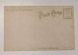 White Star Line R.M.S Titanic Post Sinking Postcard
