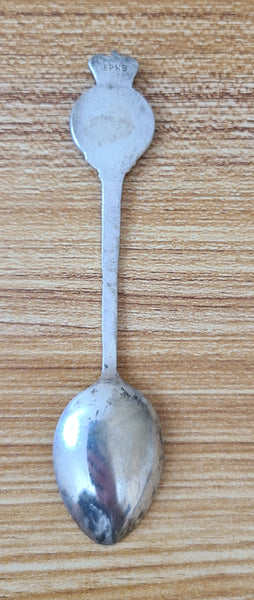 Pacific Steam Navigation Co Souvenir Spoon