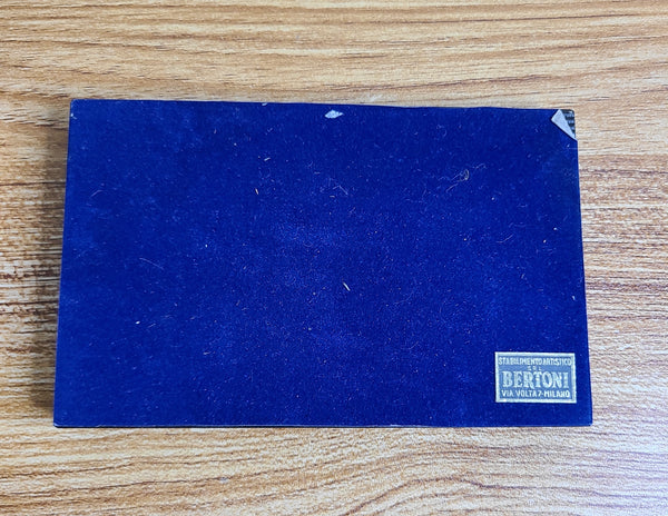 Home Lines S.S. Homeric Paperweight