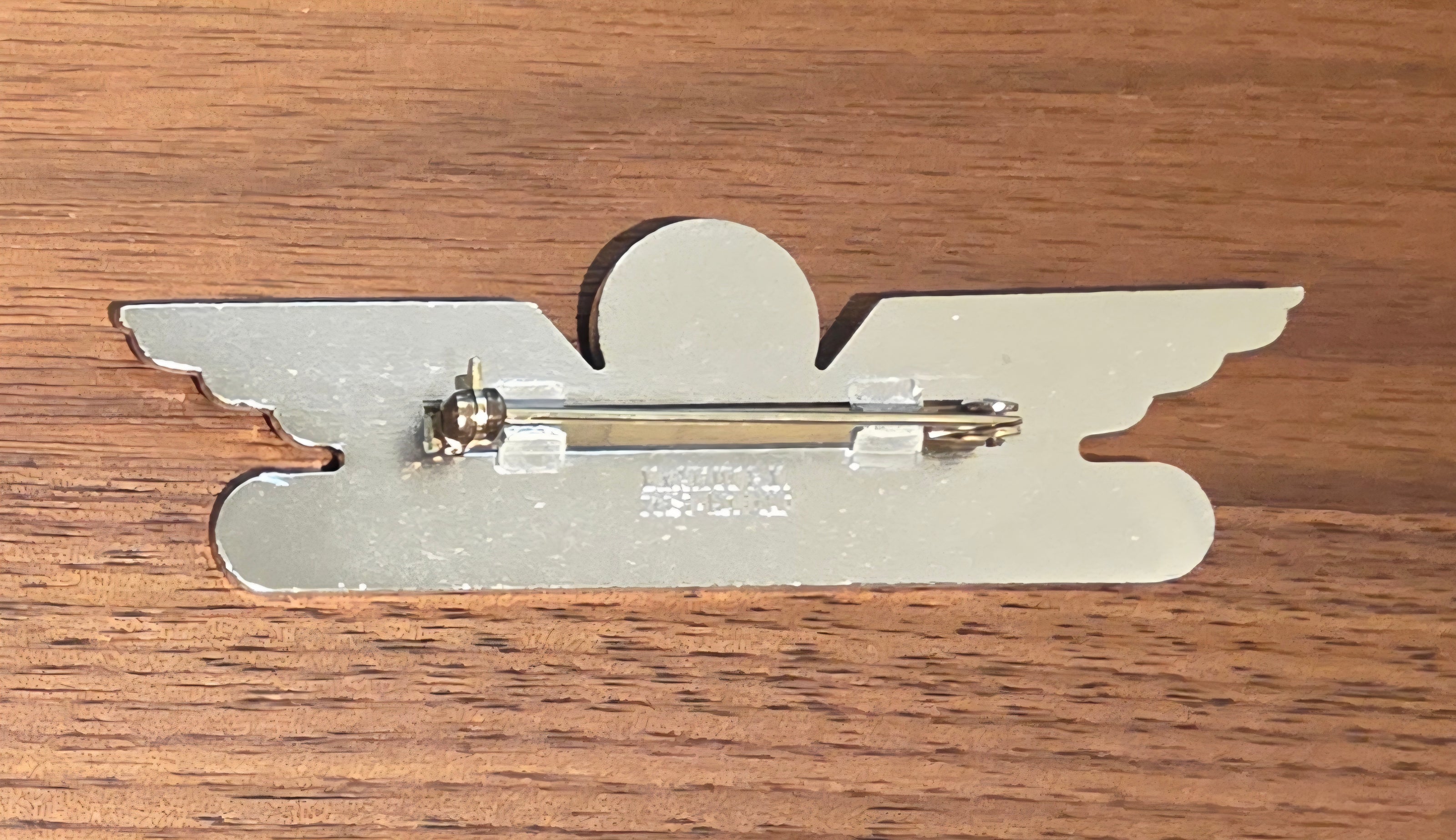 Transavia Airlines Cabin Crew Badge