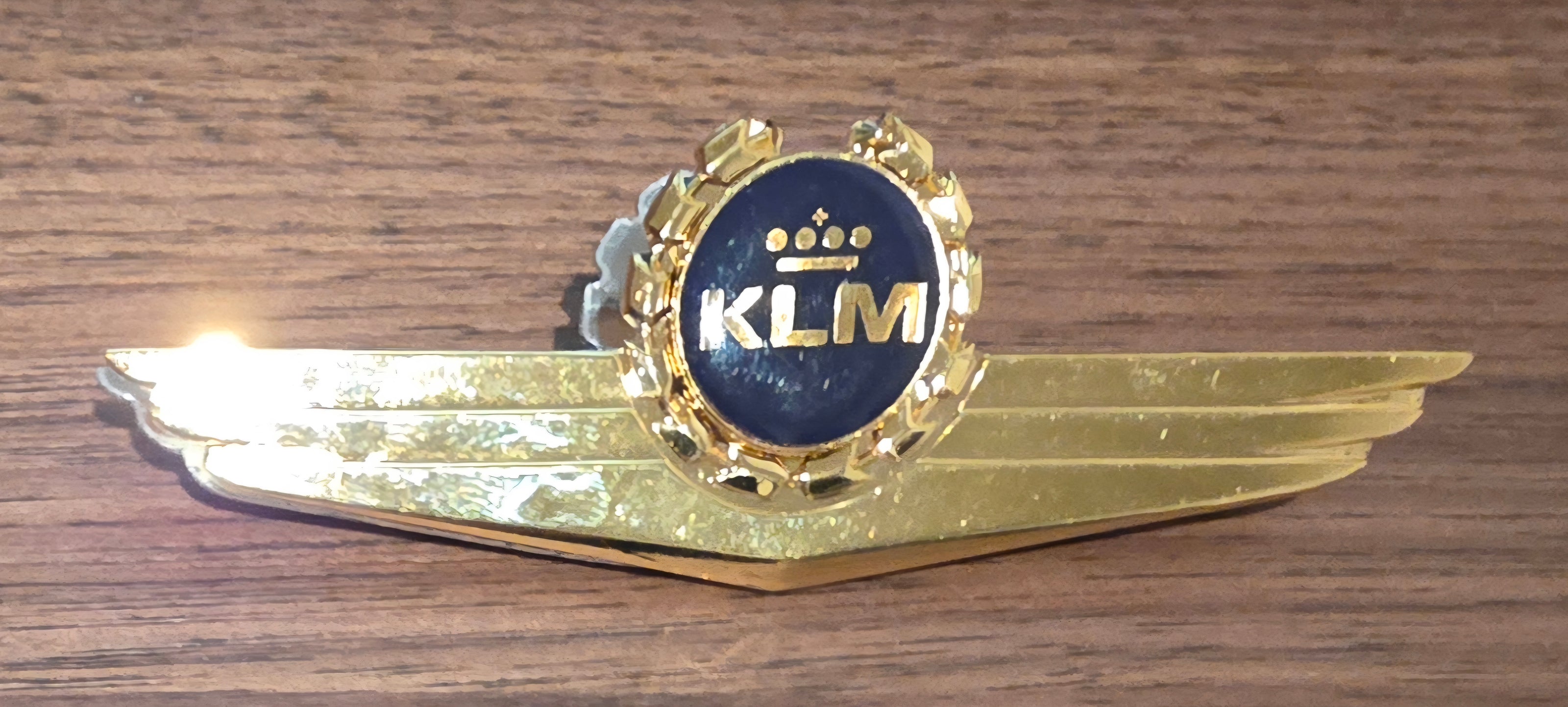 KLM Pilot Wings