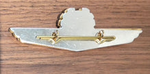 KLM Pilot Wings