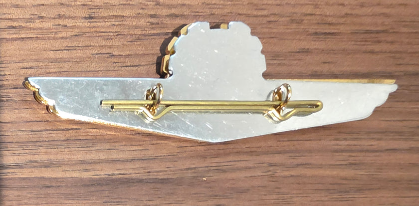 KLM Pilot Wings