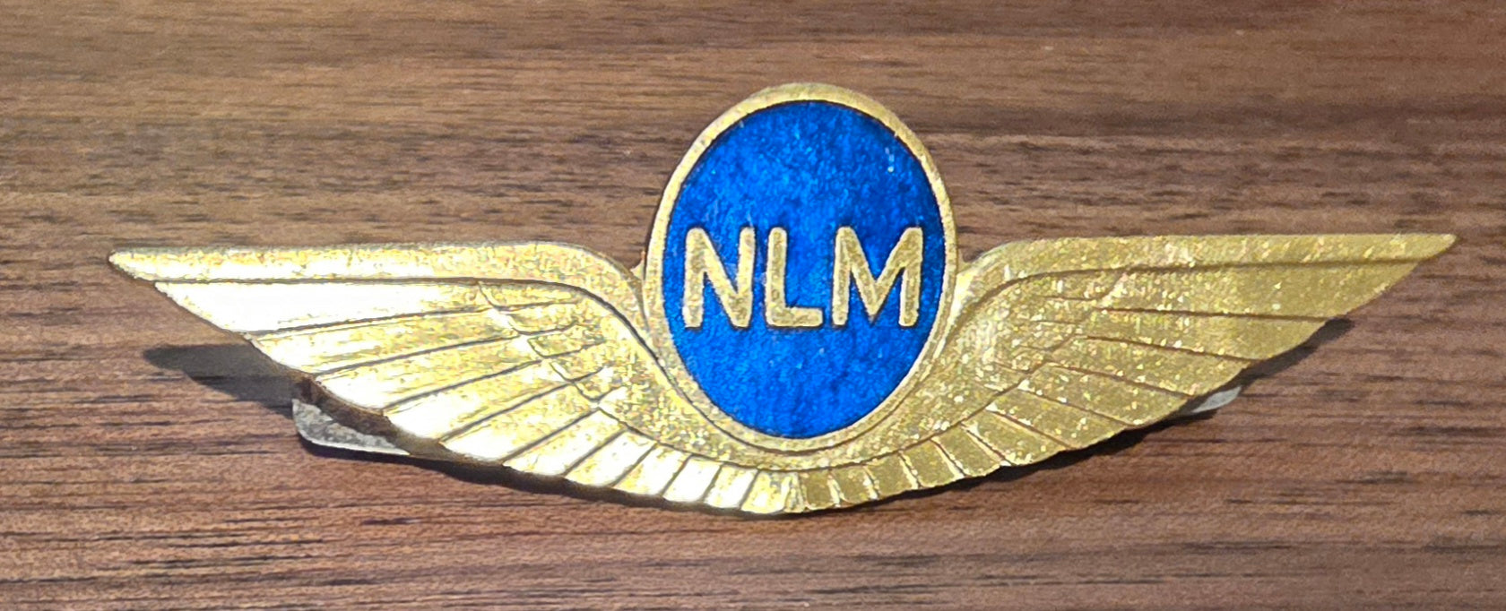 NLM City Hopper Airlines Pilot Wings