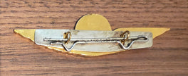 NLM City Hopper Airlines Pilot Wings