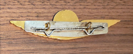 NLM City Hopper Airlines Pilot Wings