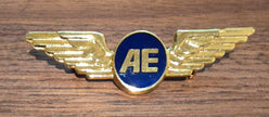 Air Europa Pilot Wings