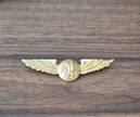 American Airlines Flight Attendant Wings