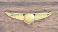 American Airlines Flight Attendant Wings