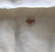 S.S. United States Stateroom U94 Bedspread