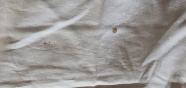 S.S. United States Stateroom U94 Bedspread