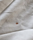 S.S. United States Stateroom U94 Bedspread