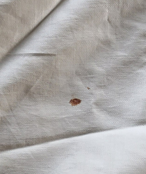 S.S. United States Stateroom U94 Bedspread