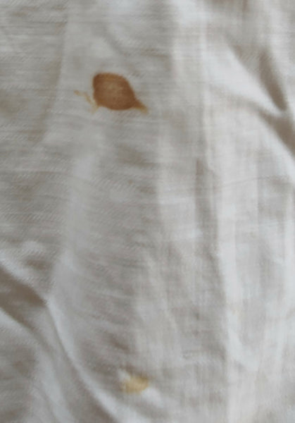 S.S. United States Stateroom M58 Bedspread