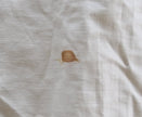 S.S. United States Stateroom M58 Bedspread
