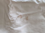 S.S. United States Stateroom M70 Bedspread