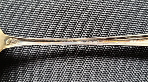 Munson Steamship Line S.S. Western World Souvenir Spoon