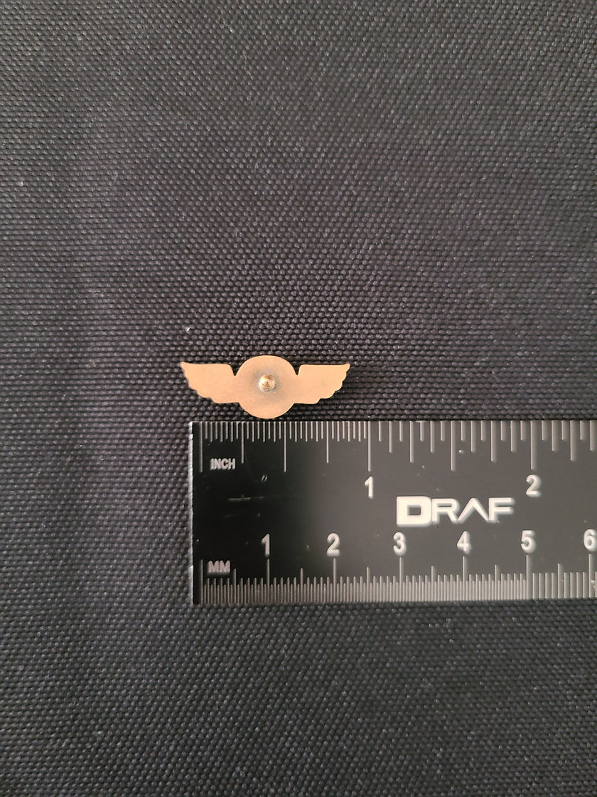 Capital Airlines Hat Badge/Small Wings