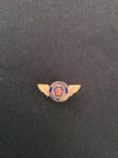 Penn Central Airlines Hat Badge/Small Wings