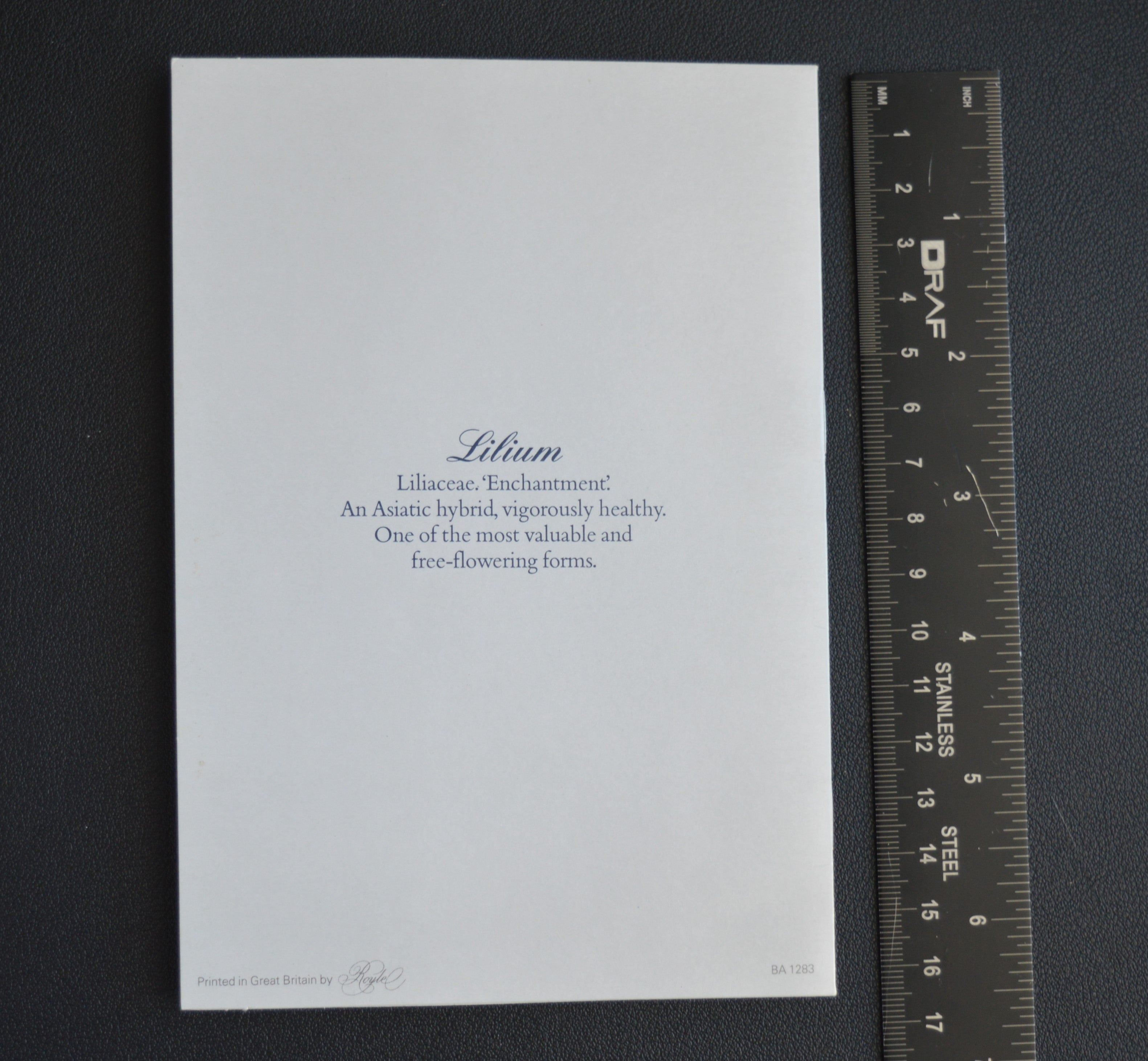 British Airways Menu (London to Zimbabwe) (1980s)