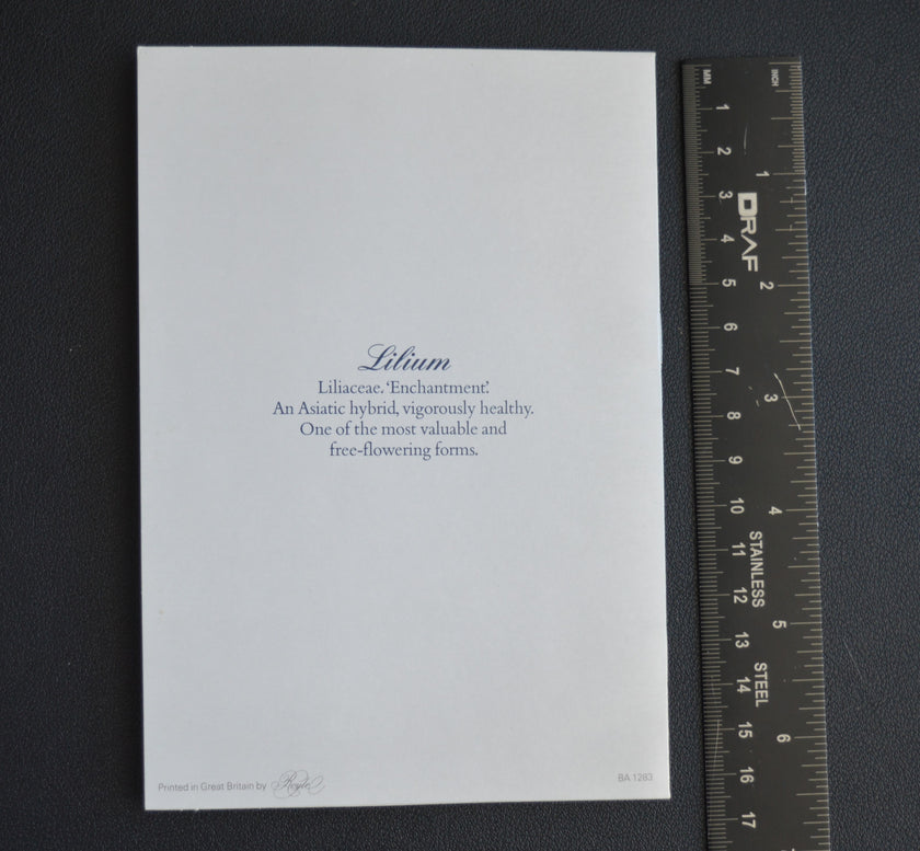 British Airways Menu (London to Zimbabwe) (1980s)